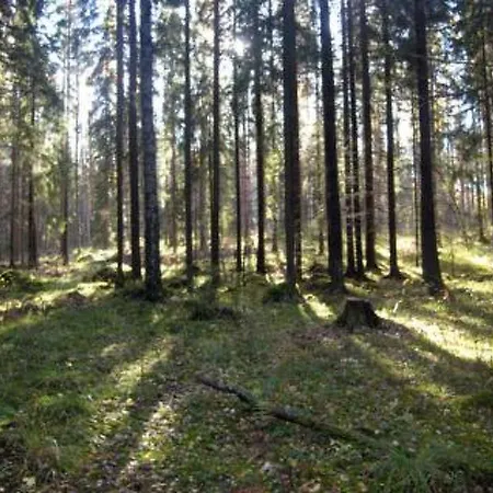 Holiday Vellamo, Leppaniemen Hirsihuvilat Loma-asunnot Hauho